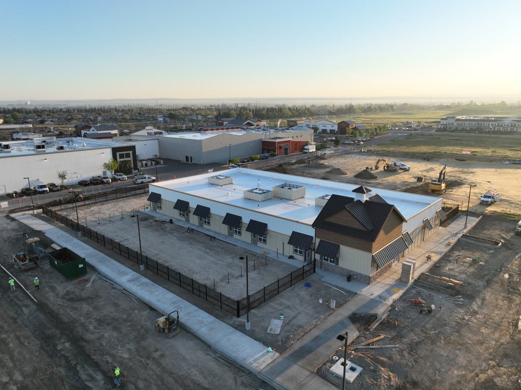 Our school continues to come to life!